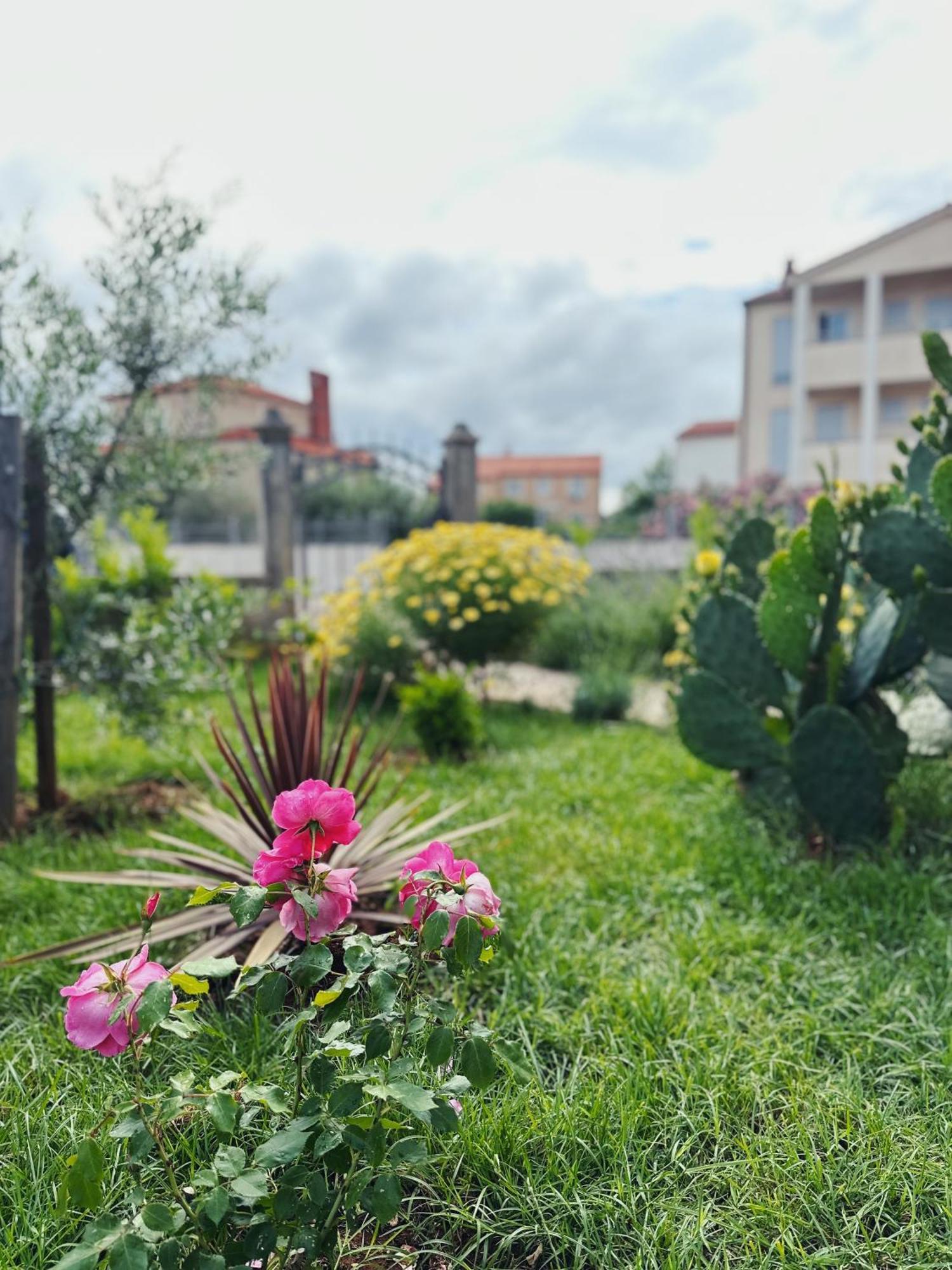 Apartments Vukalovic 2 Medulin Zewnętrze zdjęcie